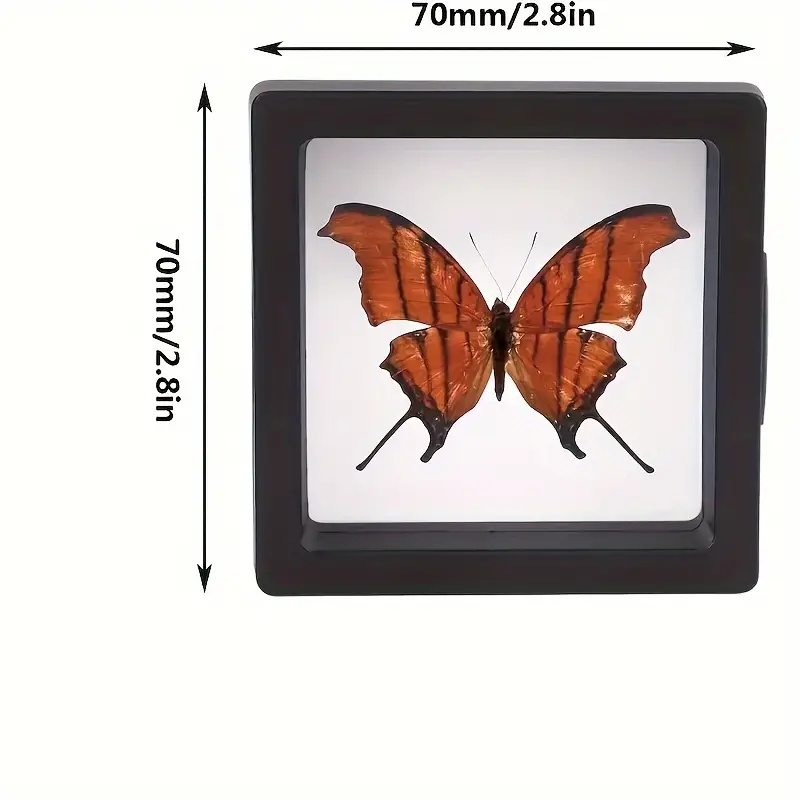 20Pcs Clearview 3D Floating Di - Jewelry Making Box 评论和价格